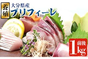 大分県産 養殖ブリ　フィーレ (約1kg前後)　鰤 ブリ フィレ 国産 刺身 さしみ 魚介 海産物 半身 丼 カルパッチョ ブリしゃぶ たたき おつまみ大分県 佐伯市【EW064】【(株)Up】