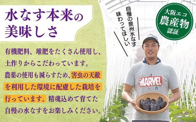 099H4539 【先行予約】朝採り直送 徳用水なす 15個 訳あり 規格外