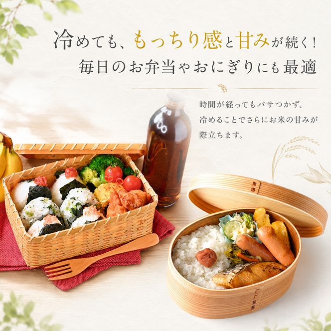 【令和8年産 先行予約】「3カ月定期便」食味鑑定士厳選！魚沼産こしひかり 20kg（5kg×4）×3回 米 コシヒカリ 定期 新潟県 十日町市