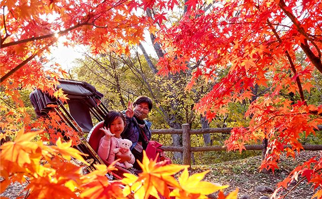 《小諸城址懐古園を人力車で周ろう♪》人力車で30分間周遊プラン 体験チケット 観光 