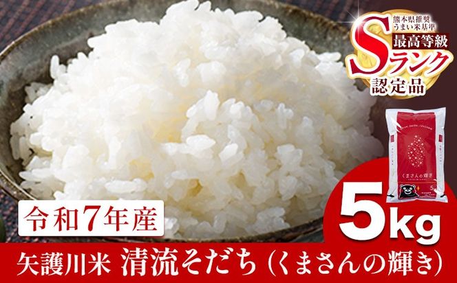 令和7年産 矢護川清流そだち(くまさんの輝き) 5kg 大津町矢護川おいしい米作り研究会 お米 熊本県 大津町《60日以内に出荷予定(土日祝除く)》---oz_kzk_2_5kg---