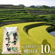 淡路島の棚田米 １０kg 白米