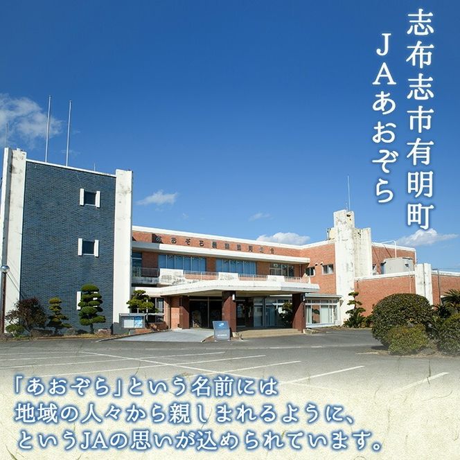 あおぞらさん家セット(芋プリン・苺ムース) 計6個 a2-100