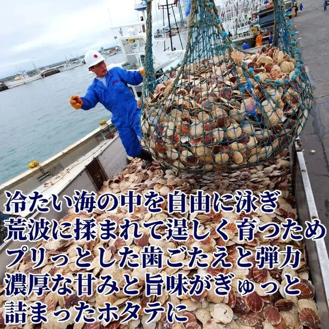 18-188 北海道オホーツク海産ホタテ玉冷バラエティサイズ(1kg)｜ ほたて 刺身用 訳あり 大粒から小粒までサイズいろいろ。料理に便利。｜ホタテ 紋別市