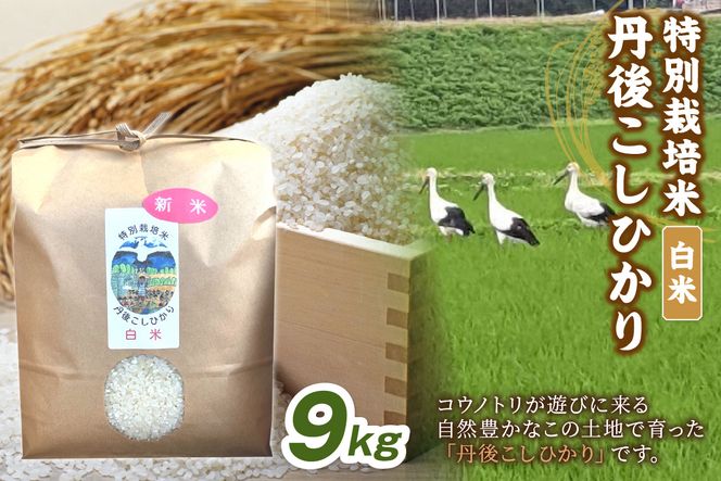 【先行予約】令和8年産 丹後こしひかり 白米9kg 【特別栽培米】新米　KU00083