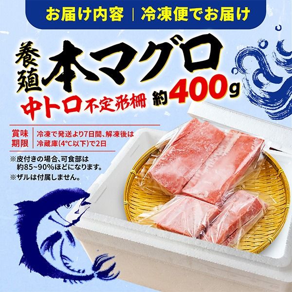 【オンライン決済限定】 【2024年12月発送】訳あり 本まぐろ 中とろ 刺身用 約400g 不定型柵 本鮪 まぐろ [PT0014-000010-202412-X2]