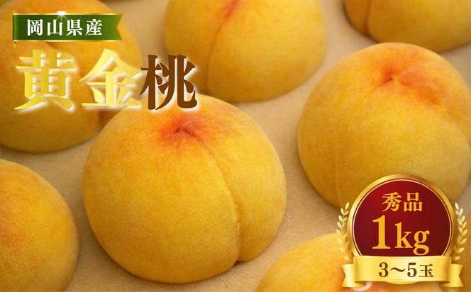【先行受付】黄桃1kg | 岡山県産 黄金桃 桃 フルーツ 果物 高級フルーツ 岡山 桃 お取り寄せ 産地直送 希少品種 国産フルーツ 黄金桃 人気 数量限定 旬の果物 甘い ジューシー 芳醇 みずみずしい 夏の味覚 先行予約