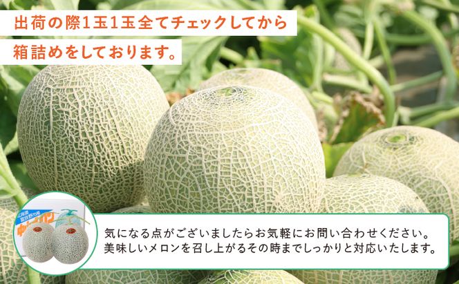【2026年夏発送】北海道 富良野産 赤肉メロン 4～6玉 大箱8kg メロン フルーツ 果物