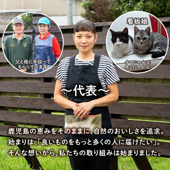 isa864 冷凍ボンタン(計18袋・各130g) 冷凍 ボンタン 加工 果物 フルーツ ハンドメイド 手づくり スムージー ヘルシー トッピング 爽やか おやつ 【薩摩美食倶楽部】