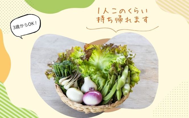 農園はなうた お野菜収穫体験券 5名様まで hnut0001
