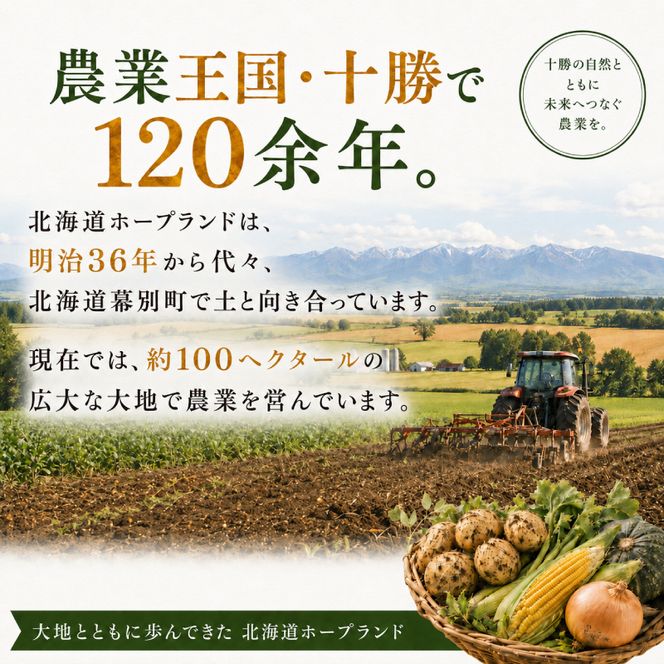 【先行予約】じゃがいも2種詰合せ（北あかり10kg・インカのめざめ10kg）【十勝幕別 北海道ホープランド農場】 野菜 セット 