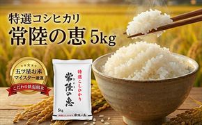 167-63-005　【令和７年産】特選こしひかり　「常陸の恵」５kg 【 お米 五ツ星 お米マイスター HACCP 取得 低温精米 高品質 ご飯 美味しい米 ブランド米 特産物 あさや米穀 茨城県 日立市 】
