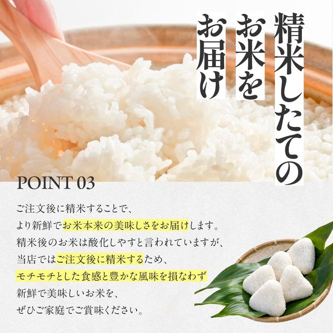 【令和６年産 コシヒカリ】白米10kg（10kg×1袋）2024年産(26-21)米 お米 米10kg お米10kg 兵庫県産 こしひかり コシヒカリ 西脇市産 令和６年産 R６年産 2024年産 精米