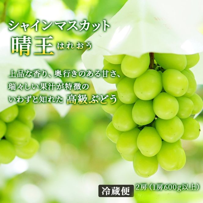 フルーツ 定期便 2026年 先行予約 フルーツ王国 岡山の果物 5回コース 夏～冬物語  桃 もも 葡萄 ぶどう 梨 なし岡山県産 国産 果物 セット ギフト ニューピオーネ シャインマスカット あたご梨 