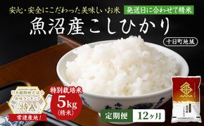 【12ヶ月定期便】特別栽培米 魚沼産こしひかり(十日町地域) 精米 5kg 米 お米 コシヒカリ 定期 十日町市