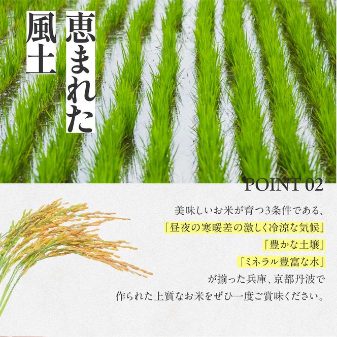 【令和６年産 コシヒカリ】白米10kg（10kg×1袋）2024年産(26-21)米 お米 米10kg お米10kg 兵庫県産 こしひかり コシヒカリ 西脇市産 令和６年産 R６年産 2024年産 精米