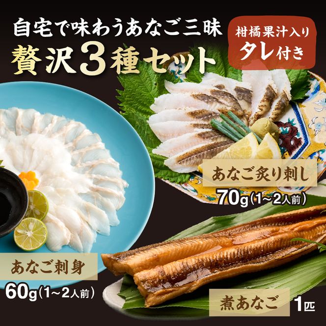あなごセット（あなご炙り刺し、あなご刺身、煮あなご）【宗像漁協】_HA1518
