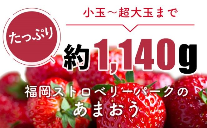 訳あり いちご 2027年2月中旬より発送 あまおう サイズ色々 4パック 約1.14kg 果物 フルーツ 福岡県産あまおう ※配送不可：離島