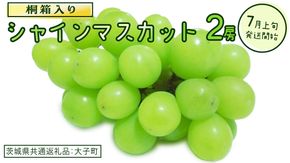 【桐箱入り】 シャインマスカット ２房 (茨城県共通返礼品：大子町) ぶどう 葡萄 マスカット フルーツ 果物 贈答用 ギフト 贈り物