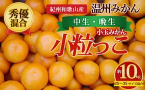 【先行予約】【秀優混合】紀州和歌山産 温州みかん「小粒っこ」約10kg（箱込み）2S～3S サイズ混合 小玉みかん（中生・晩生）