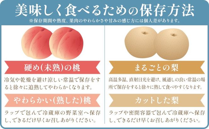 紀州 和歌山県産 旬の フルーツ セット ミニ 2ヶ月定期便 8月・9月配送 桃 3玉 梨 3玉 株式会社魚鶴商店《8月-9月頃出荷》和歌山県 日高川町 もも なし 定期便 果物 旬---wshg_uot102tei_26_20000_89y2---