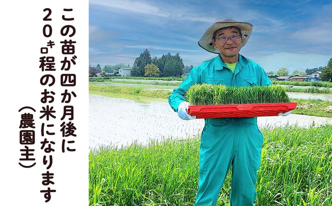 ＜令和8年産予約受付＞【6ヶ月定期便】銀河のしずく 厳選プレミアム（減農薬・減化学肥料）2kg 【2013】