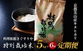 定期便 6回　料理旅館きぐすりや　令和7年産 　特別栽培米キヌヒカリ 5kg