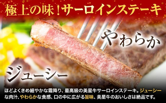 【12ヶ月定期便】美星牛 お肉の定期便 サーロインステーキ 肩ローススライス しゃぶしゃぶ用 ハレノヒ良品《お申込み月の翌月から発送》 岡山県 浅口市 肉 和牛 国産 牛肉 サーロイン 牛ロース しゃぶしゃぶ---124_f399tei_90d_23_304000_mo12num1---