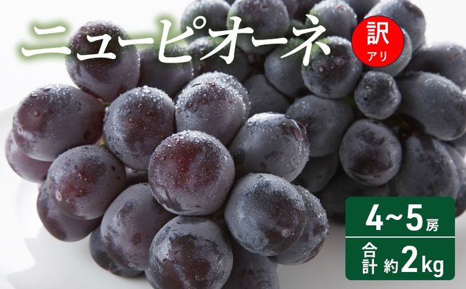 【2026年 先行予約】【訳あり品】ニューピオーネ 4～5房 合計約2kg 常温配送 ぶどう 葡萄 フルーツ 果物 岡山 岡山のぶどう 食後 デザート 産地直送 大粒 食べ応え ちょうどよい甘さ 種無し 