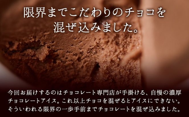 石挽きチョコアイス Sサイズ 6個 石挽きカカオissai 岡山県矢掛町 チョコレート スイーツ デザート アイス《30日以内に出荷予定(土日祝除く)》---osy_ficici_30d_25_15500_s---