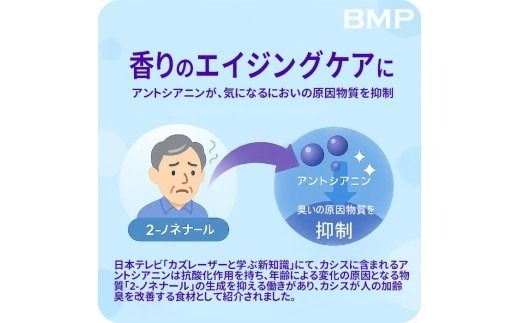 BMP カシスパウダー 2kg（100g×20袋）（カシス濃縮果汁粉末）