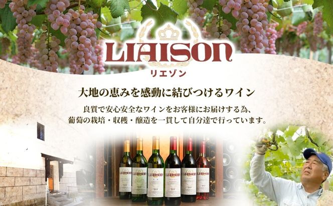 赤ワイン Liaisonリエゾン マスカット・ベーリーA 720ml×6本 フルボトル 辛口 ミディアムボディ ワイン 赤 お酒 送料無料 日川中央葡萄酒 山梨県 笛吹市 177-7-26
