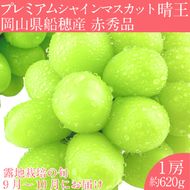 2026年 先行予約 プレミアム シャインマスカット 晴王 1房約620g/ 岡山県 船穂産 赤秀品 種無し 皮ごと食べる みずみずしい 9月10月にお届け フレッシュ 晴れの国 おかやま 果物大国 彩美菜果