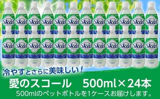 「愛のスコール」500ml×24本_11-2305_(都城市) 宮崎のご当地ドリンク 乳性炭酸飲料 炭酸飲料 乳飲料 デーリィ 南日本酪農