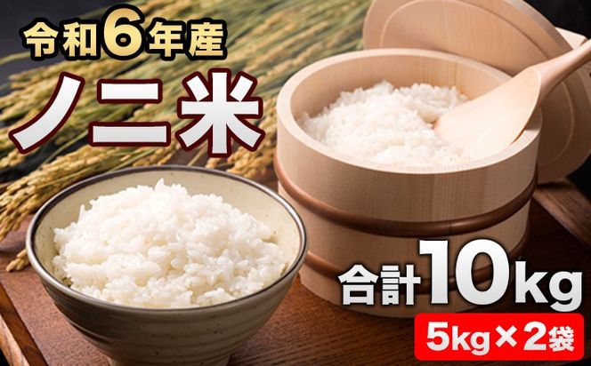 令和6年産  ひのひかり(ノニ米) 10kg(5kg×2袋)コノCAFE《30日以内に出荷予定(土日祝除く)》---sg_noni4_30d_24_22500_10kg---