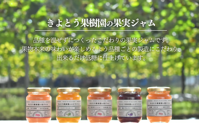 【2026年9月以降順次発送】果樹園から届く果実ジャム3種&パウンドケーキ5個 (岡山県産) 【KF-K007-03】