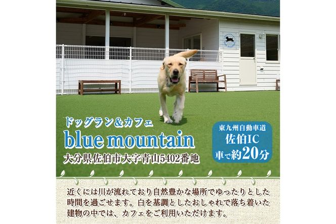 メール便でお届け！ドッグラン利用券(1頭5回分) 犬 ワンちゃん ペット チケット 体験 レジャー 自然 屋内 屋内 ラン 川遊び ポスト投函 大分県 佐伯市【HI002】【ドッグラン＆カフェblue mountain】