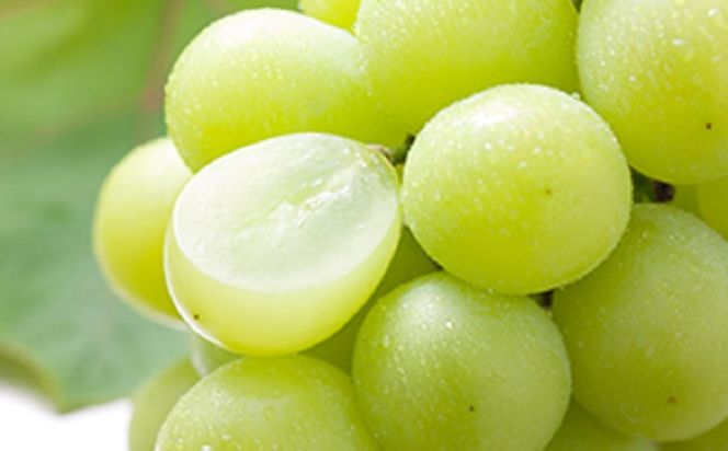 限定 数量 定期便 2回 桃 シャインマスカット 2026年 発送 フルーツ 夏のフルーツ定期便 果物 もも モモ マスカット デザート 朝倉 ※配送不可 離島