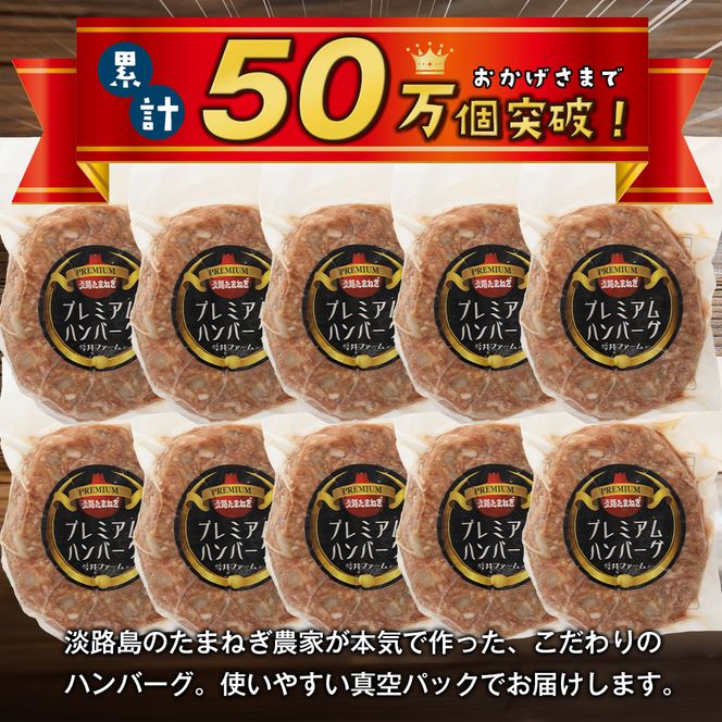 【定期便12ヶ月】淡路島たまねぎプレミアムハンバーグ　10個×12ヶ月