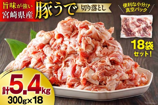 豚肉 小分け 切り落とし 300g×18袋 合計5.4kg [甲斐精肉店 宮崎県 美郷町 31as0047] 冷凍 宮崎県産 豚肉 送料無料 ウデ 腕 切落し 炒め物 料理 調理 おかず 大容量 真空包装 収納スペース 豚丼 生姜焼き 豚汁 BBQ バーベキュー キャンプ 焼肉