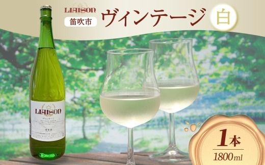 yRJszC Liaison G] Be[W 1800ml×1{ ꏡr Ì bB xE 쒆 R Js 177-7-7