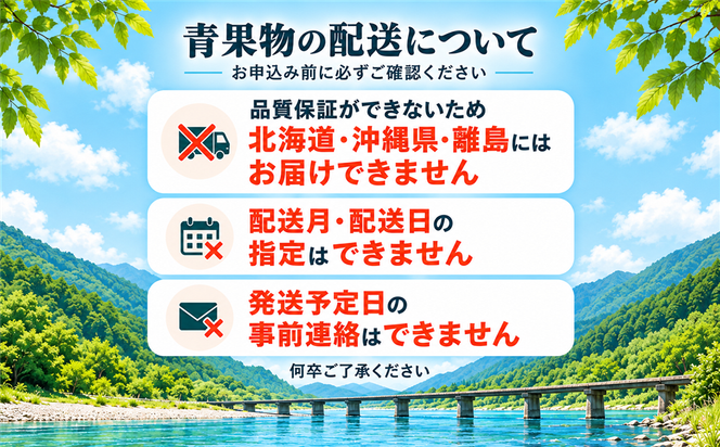【早期受付・数量限定】甘味が強く酸味が少なめ！土佐の小夏ちゃん 3kg【家庭用】予約 旬 くだもの 果物 フルーツ 柑橘 ミカン みかん 小夏 こなつ 日向夏 四万十 農家直送【2027年5月下旬より順次配送】39210-160-0001