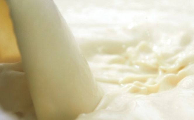 つくる豆腐セット【豆腐、にがり、無添加、オーガニック、発酵食品、スローライフ、手作り、安心、三重県、四日市市、ふるさと納税】