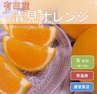 和歌山県有田産 完熟清見オレンジ 5kg（M～2Lサイズおまかせ）ひとつひとつ丁寧に厳選！生産者から直送