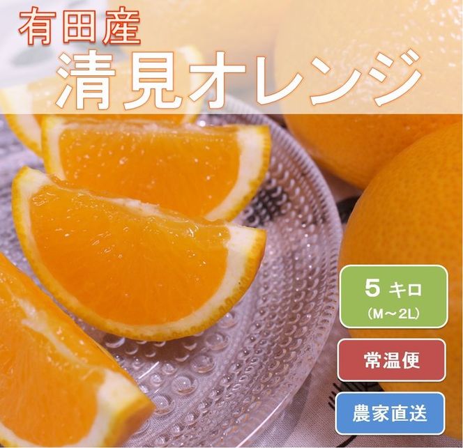 和歌山県有田産 完熟清見オレンジ 5kg（M～2Lサイズおまかせ）ひとつひとつ丁寧に厳選！生産者から直送