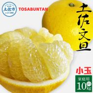 ＜2026年3月より順次発送＞土佐文旦 小玉 家庭用 10kg 23～29玉入り M～Lサイズ