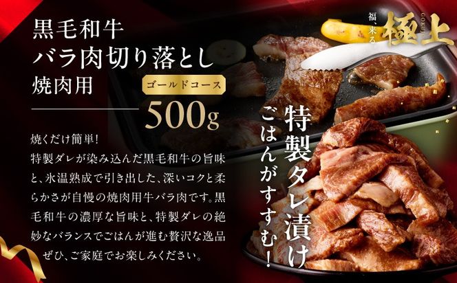 mrzZ030 極上福袋 定期便 ゴールドコース 全3回【5種 食べ比べ 牛肉 ステーキ 牛タン 焼肉 しゃぶしゃぶ すき焼き 氷温熟成×極味付け 毎月配送コース】