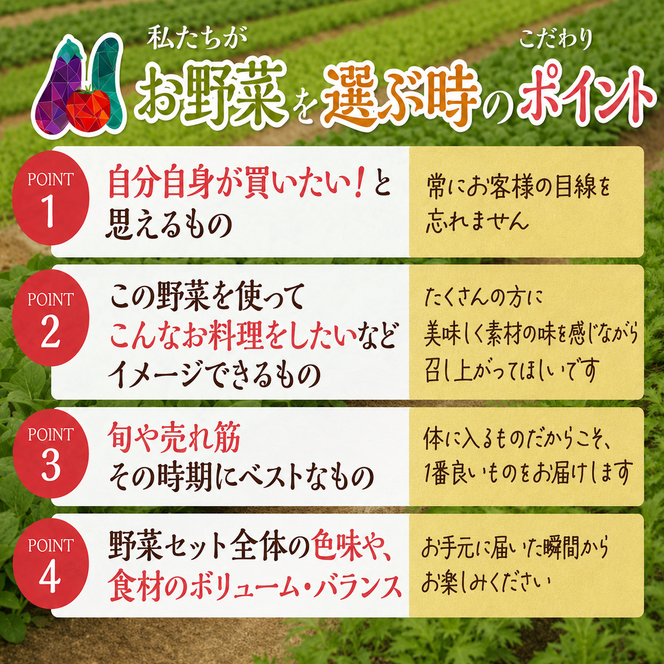 野菜 とれたて 季節の野菜 パック 8品前後 詰め合わせ セット 野菜セット 旬の野菜 旬 野菜詰め合わせ 野菜詰め合わせセット 産地直送 送料無料 たまねぎ にんじん じゃがいも ほうれん草 トマト キャベツ しいたけ 大根 白菜 冷蔵 静岡