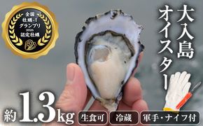 真ガキ 大入島オイスター (約1.3kg) 牡蠣 かき カキ 貝 海鮮 魚介類 冷蔵 生食可 シングルシード 養殖 大分県 佐伯市【ED08】【(合)新栄丸】