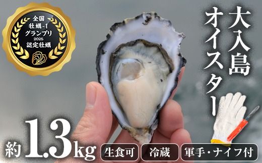 真ガキ 大入島オイスター (約1.3kg) 牡蠣 かき カキ 貝 海鮮 魚介類 冷蔵 生食可 シングルシード 養殖 大分県 佐伯市【ED08】【(合)新栄丸】